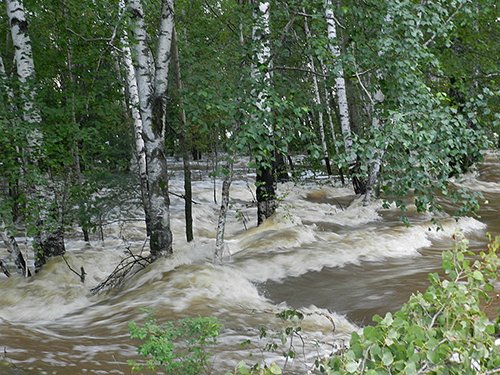 Фото читателей АП