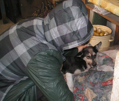 Фото: Общество защиты животных