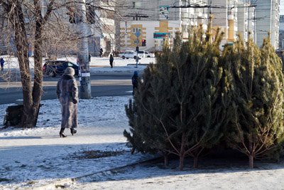 Заявка на участие в открытом конкурсе — Мои закупки