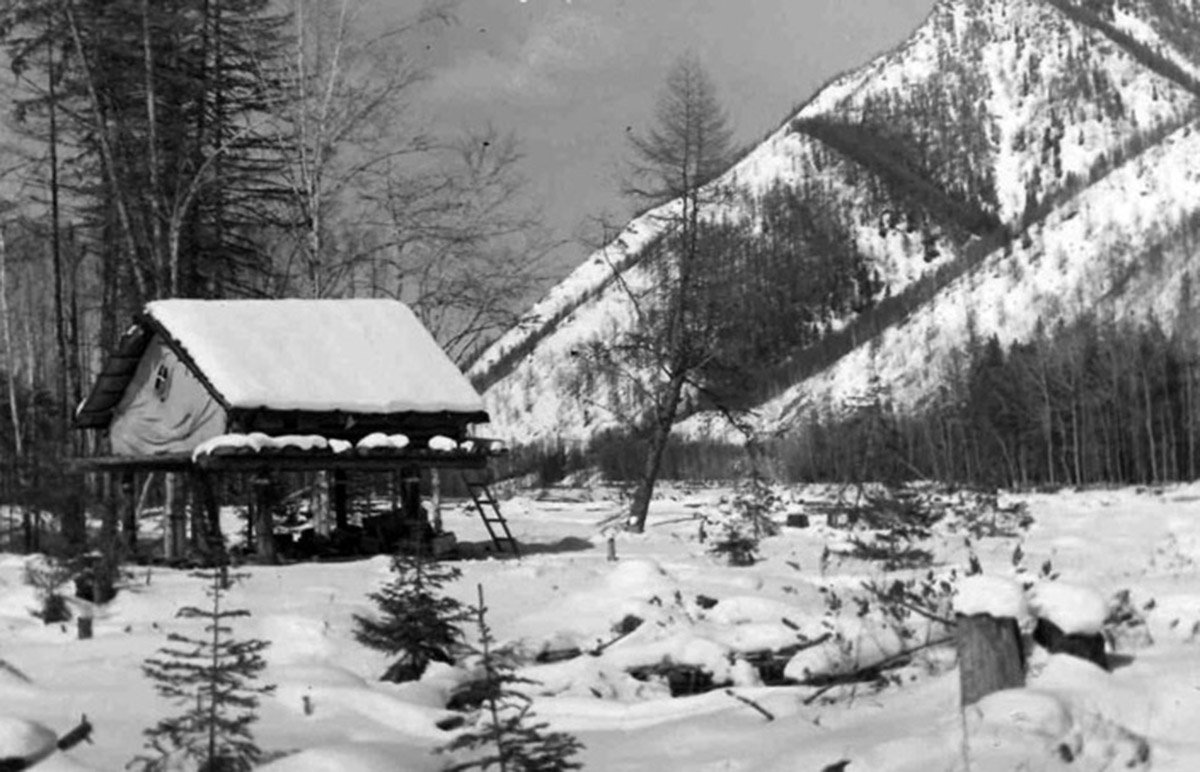 Устье реки Лучи.