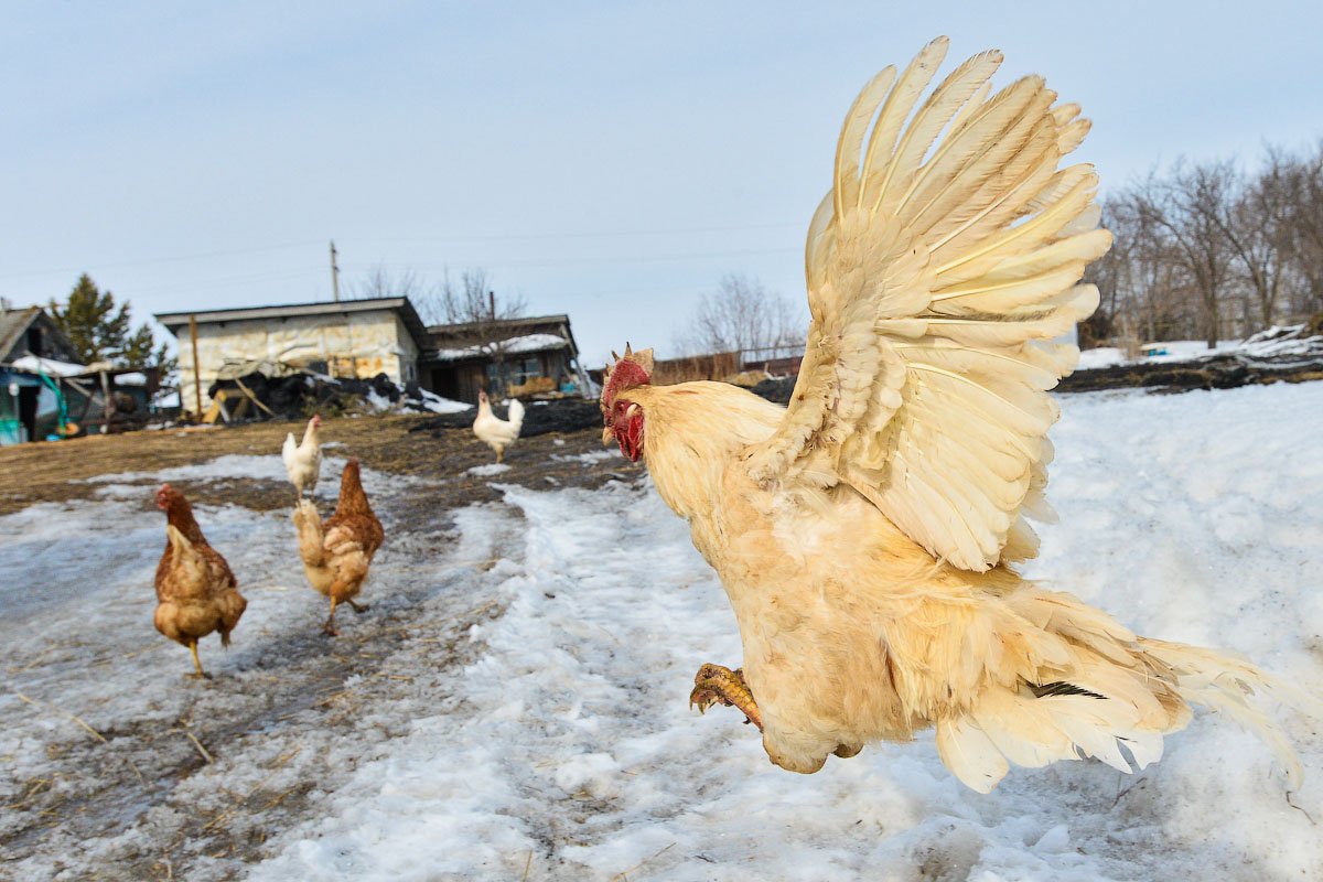 Фото: Андрей Оглезнев