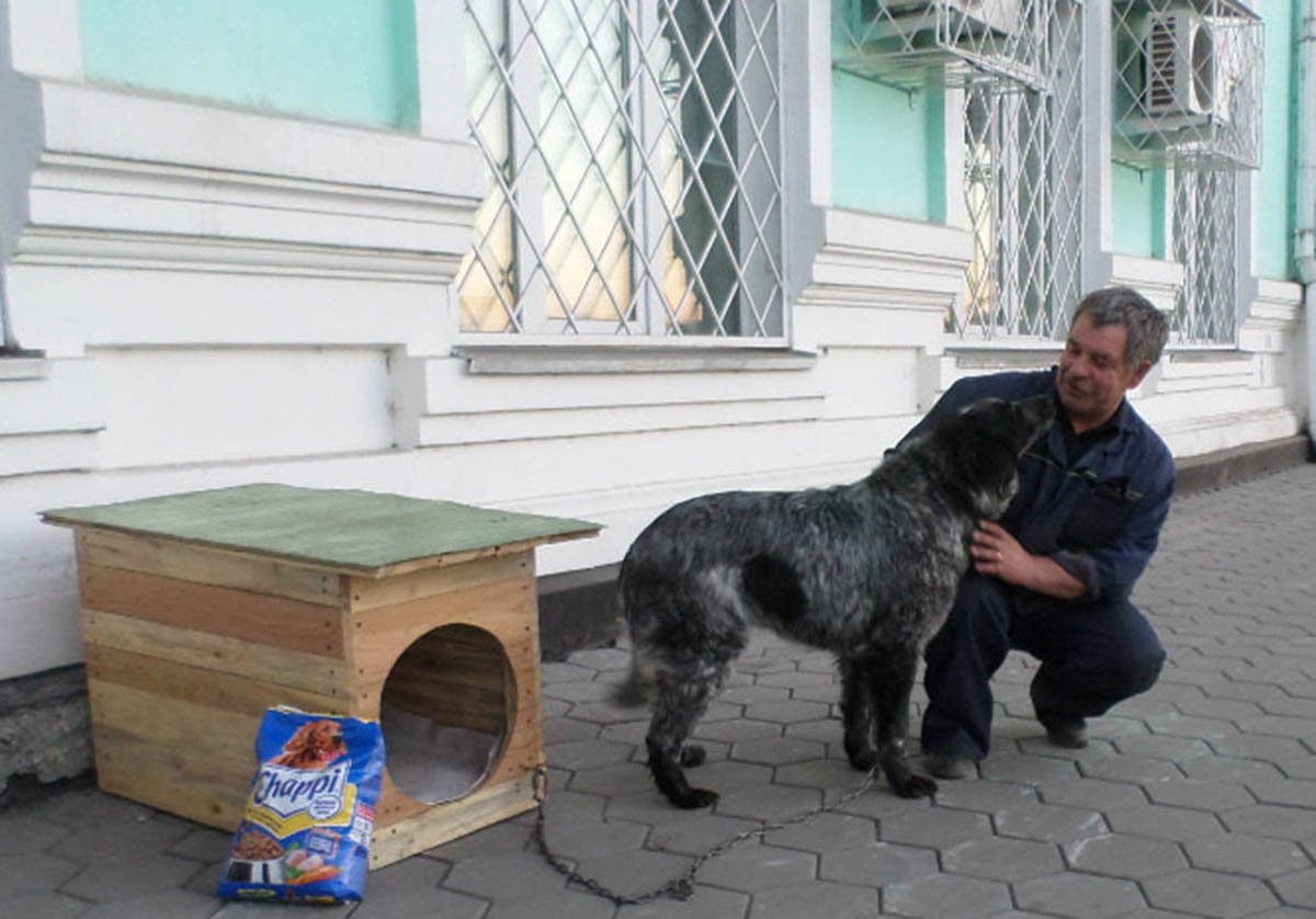 Фото: odnoklassniki.ru