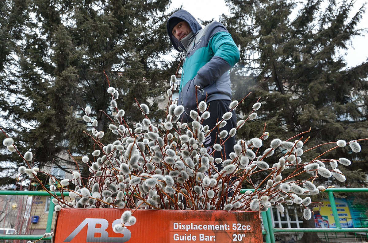 Фото: Андрей Оглезнев
