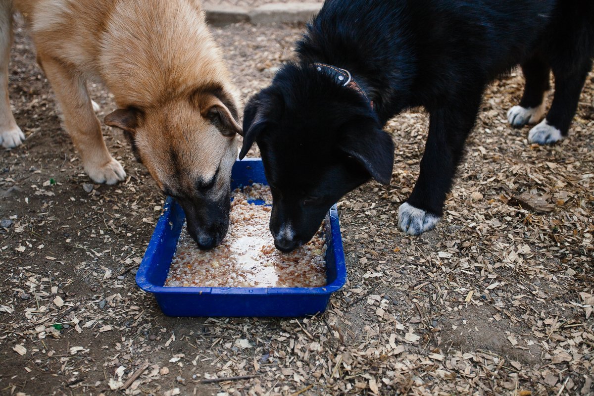 Фото: Сергей Лазовский