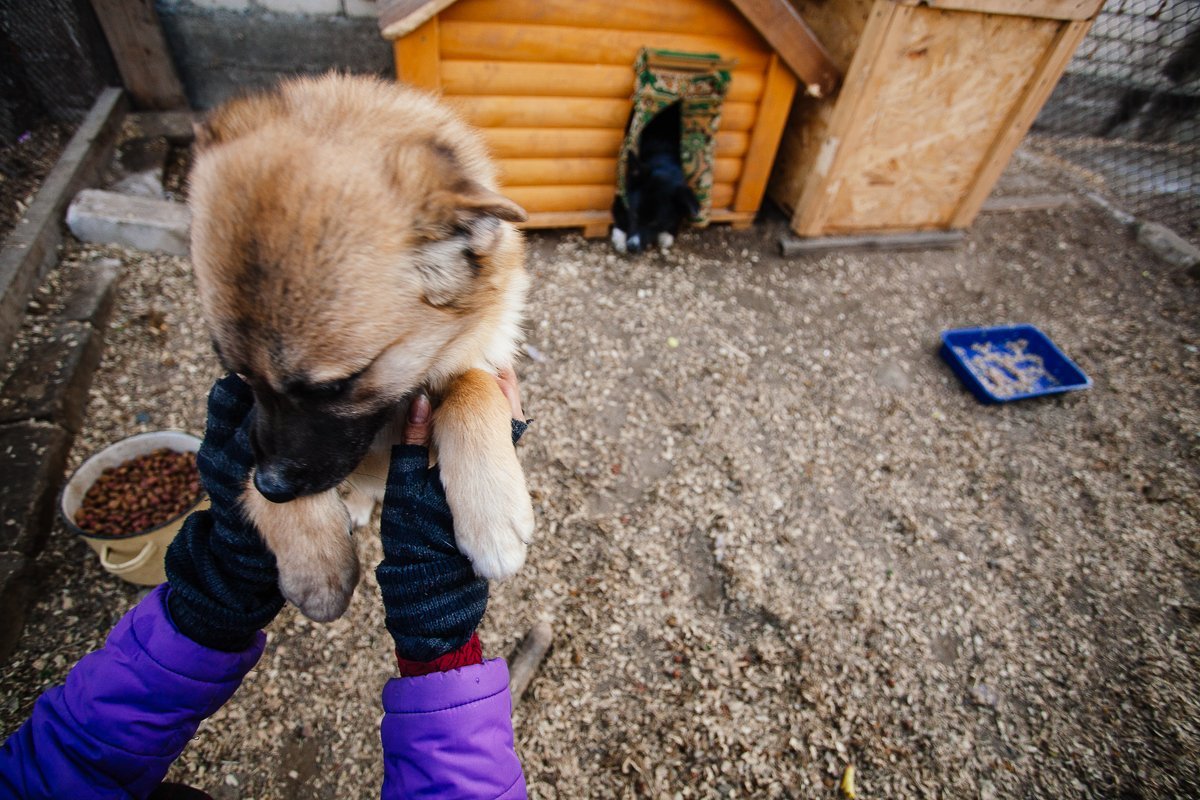 Фото: Сергей Лазовский