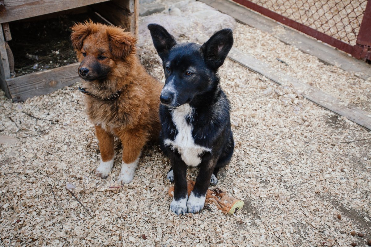 Фото: Сергей Лазовский