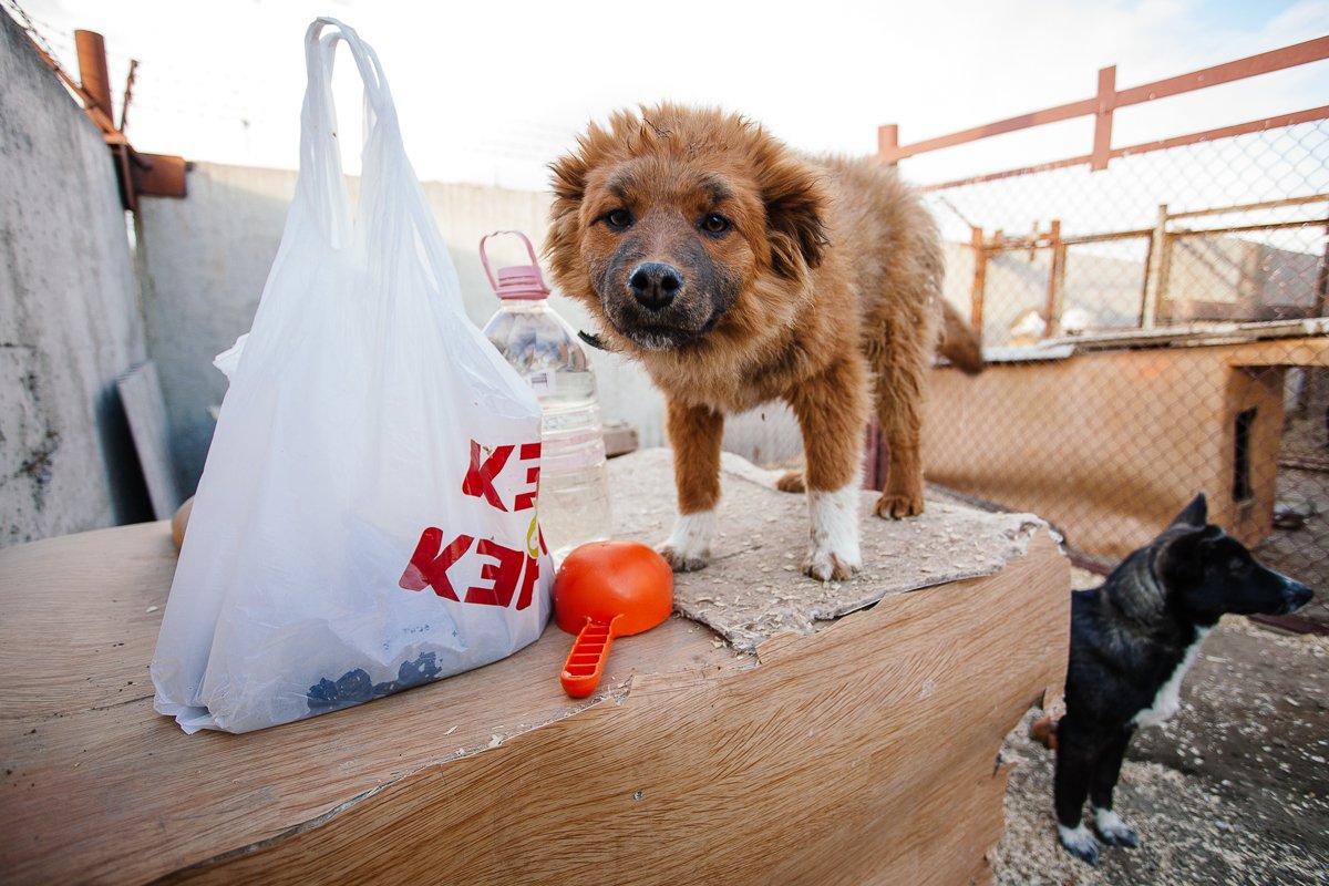 Фото: Сергей Лазовский