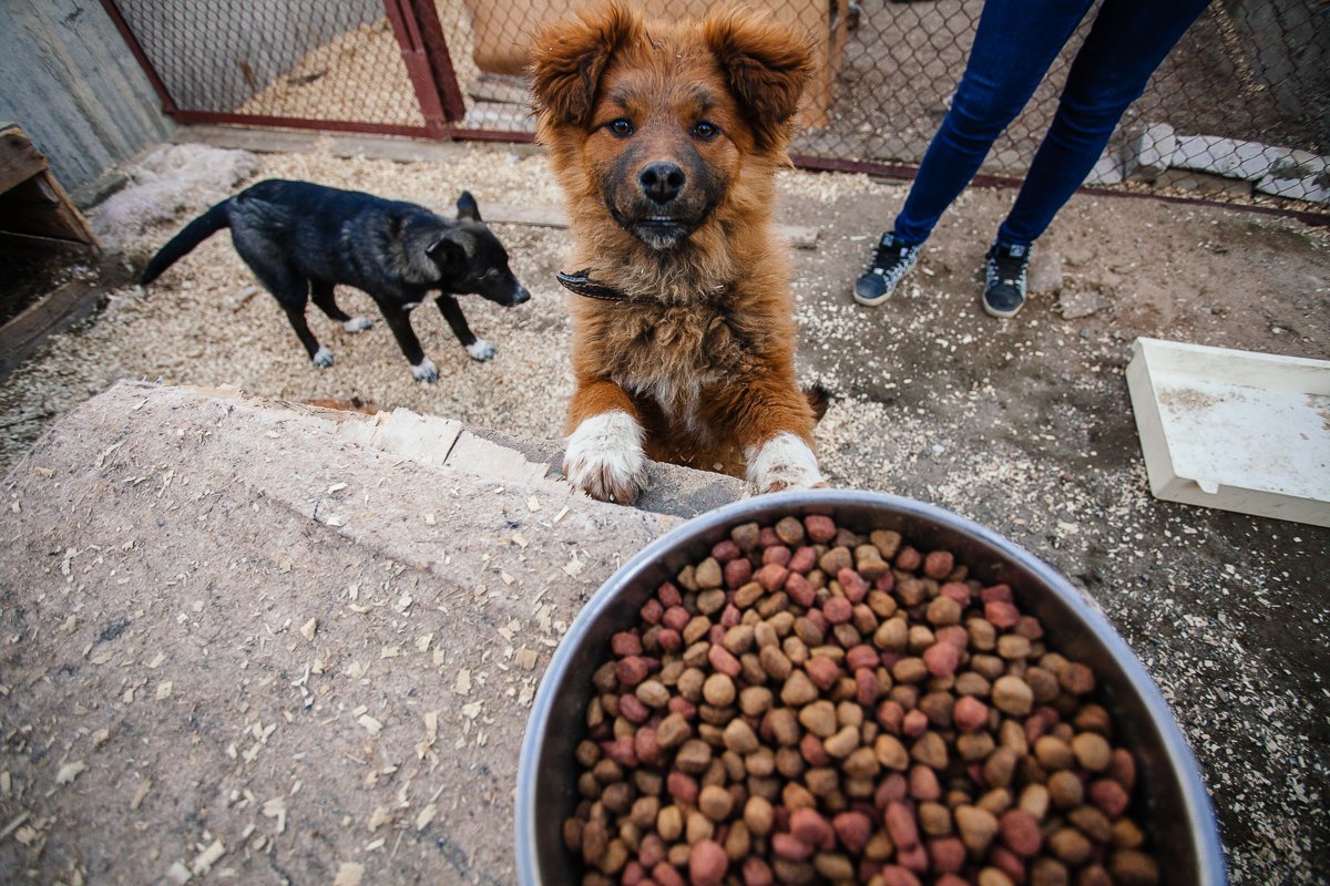 Фото: Сергей Лазовский