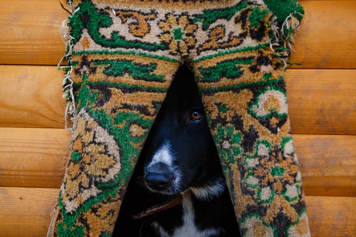 Фото: Сергей Лазовский