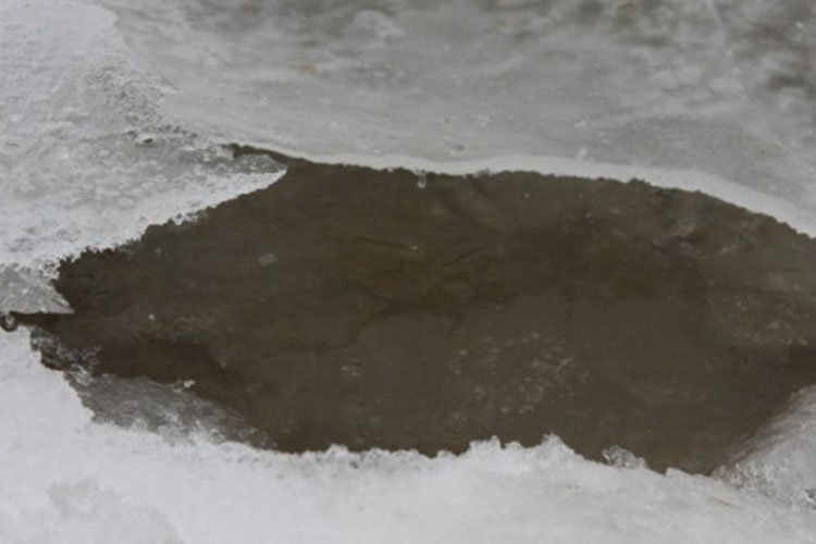 Фото: runews24.ru