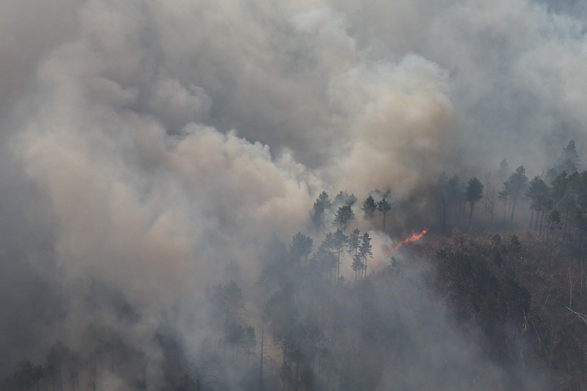 Фото: пресс-служба ДВРЦ МЧС России