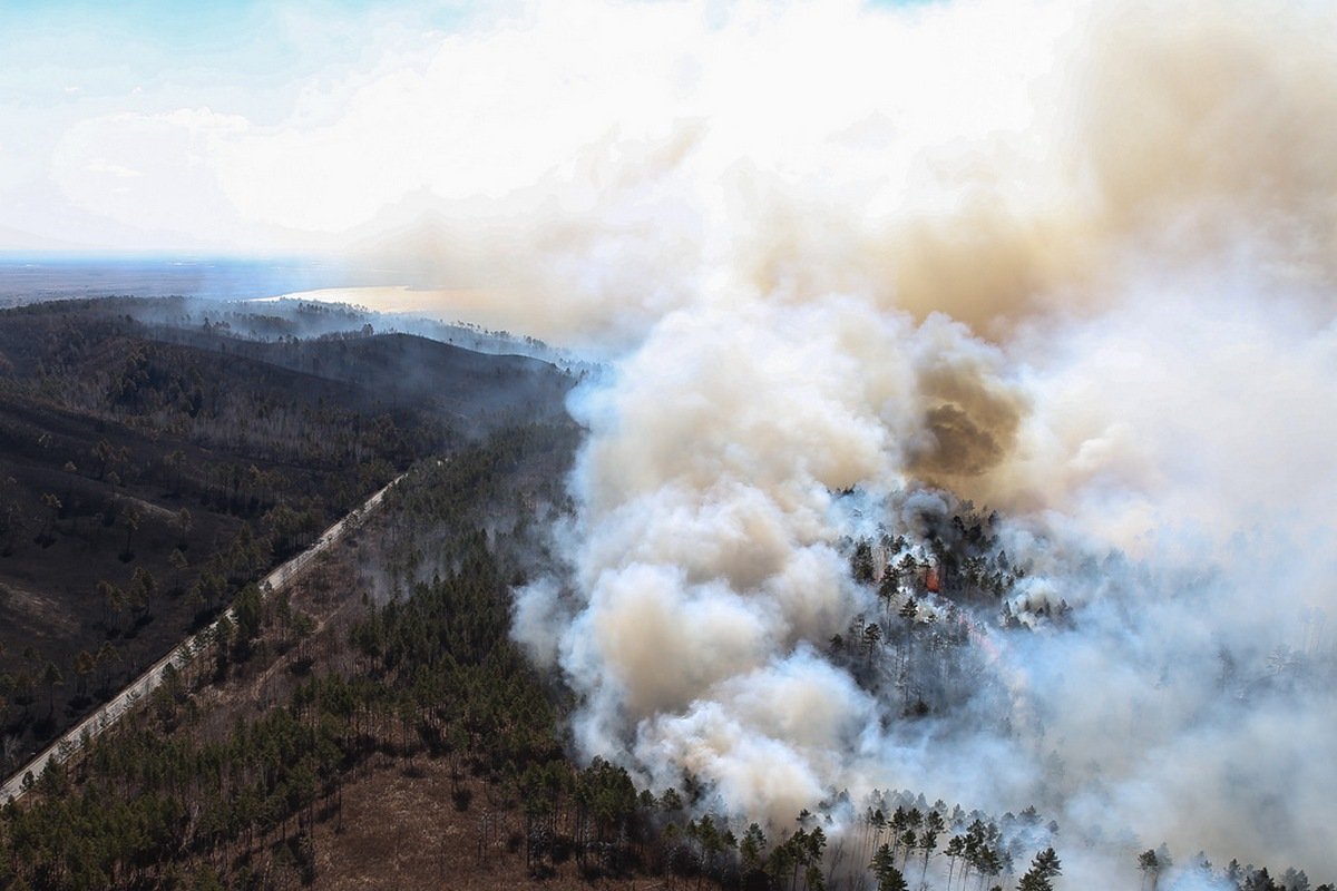 Фото: пресс-служба ДВРЦ МЧС России