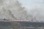 У амурского бизнеса будут изымать землю за природные пожары на его территории