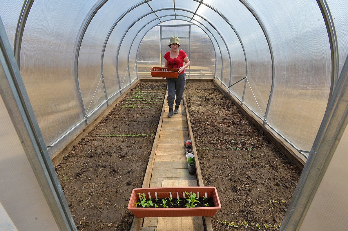 Добрые хозяева уже засеяли теплицы. Фото: Андрей Оглезнев