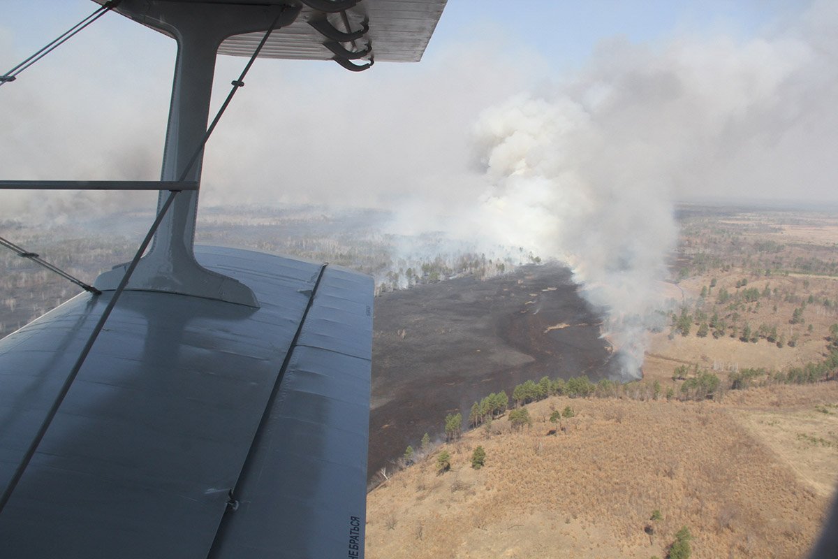 Фото: Пресс-служба правительства Амурской области