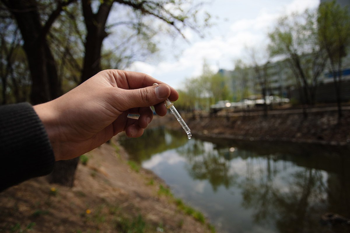 Применение микроорганизмов для Приамурья пока в новинку. Фото: С. Лазовский