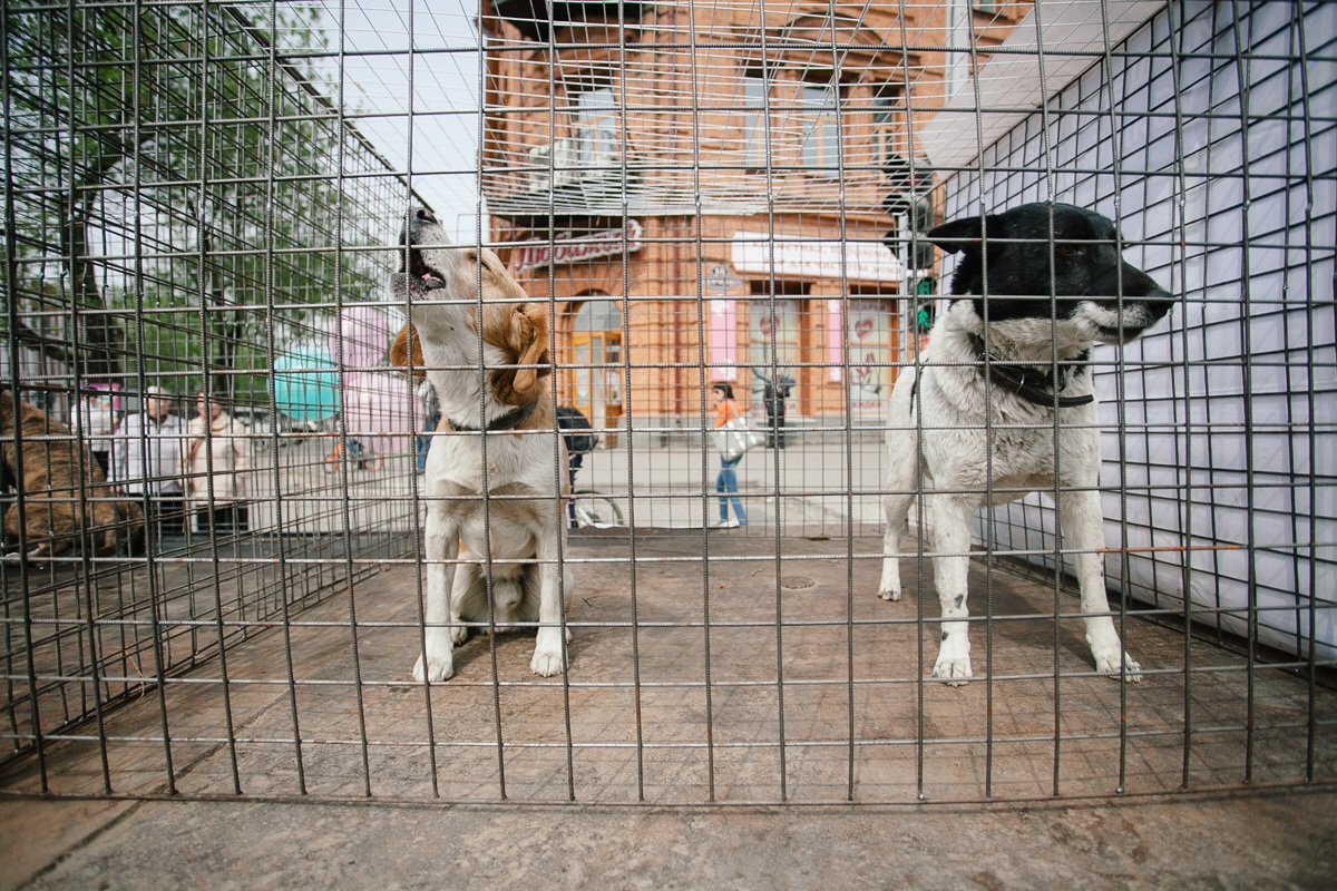 Фото: Сергей Лазовский