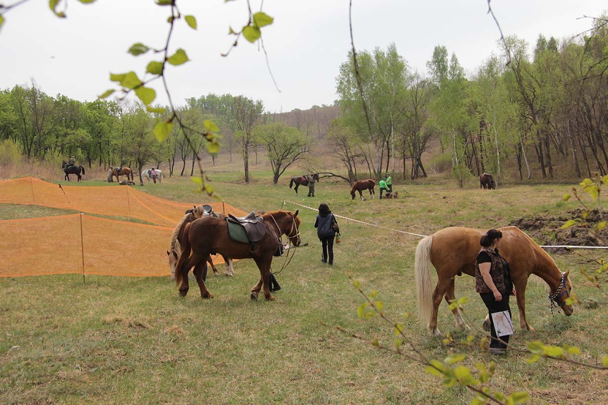 Фото: Клуб конного туризма «КонТур»