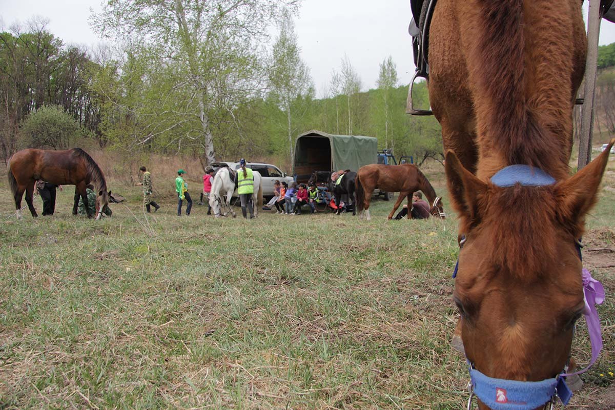 Фото: Клуб конного туризма «КонТур»