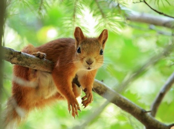 Фото: samlib.ru