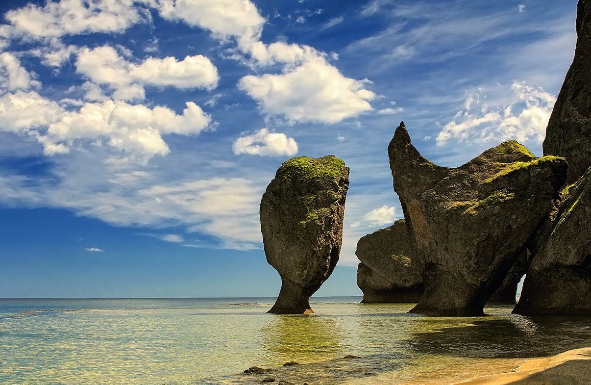 Фото: youtube.com