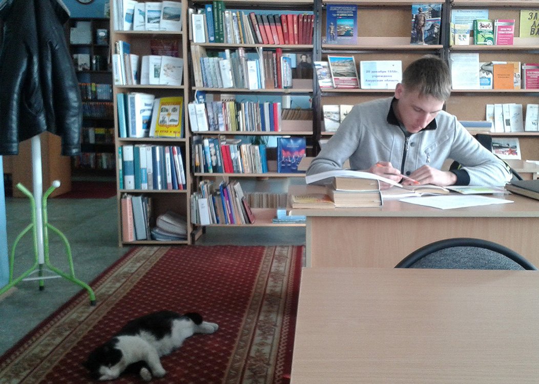 Спецприз от АП