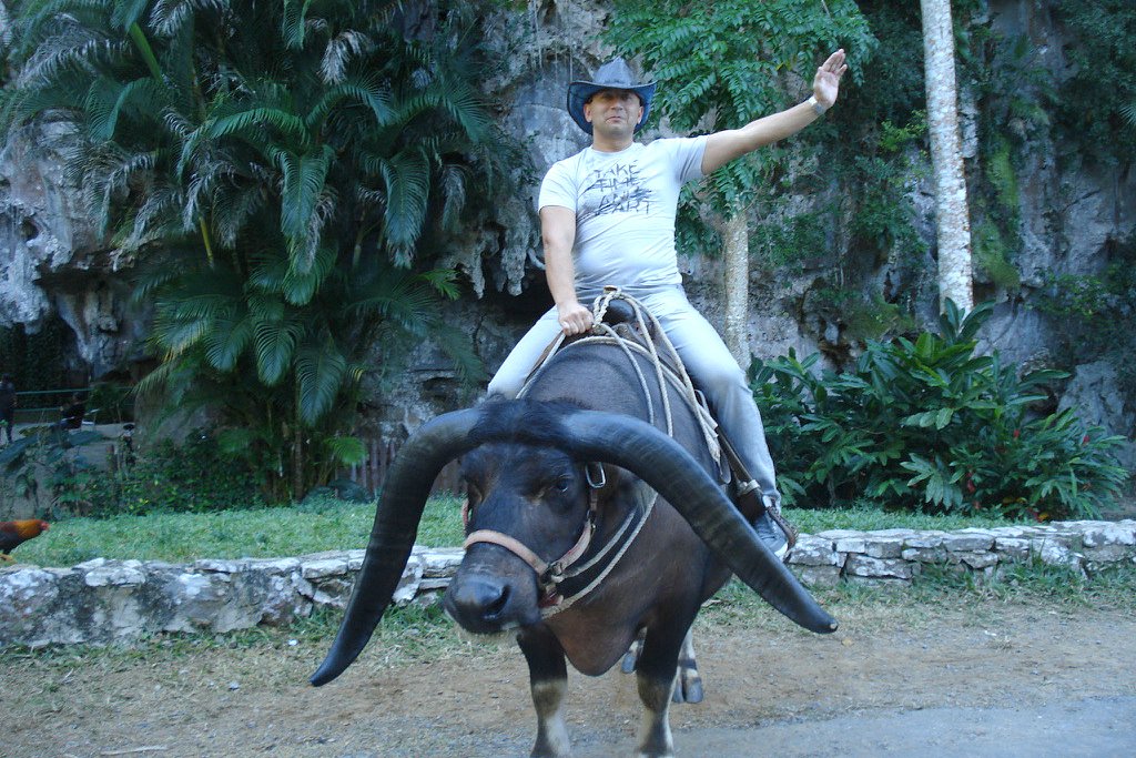 Максим Гребнев, Куба