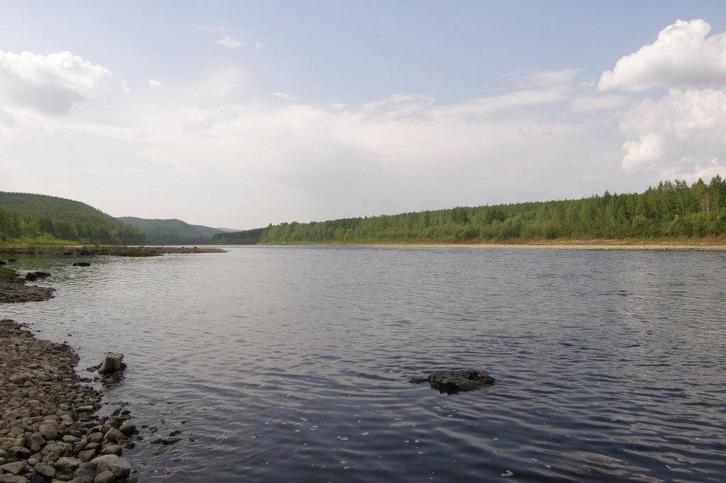 Фото: images.esosedi.ru