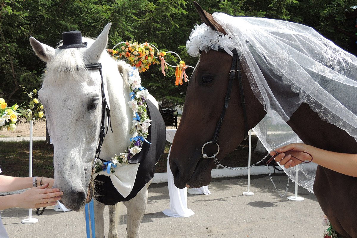 Фото: Арина Шевченко