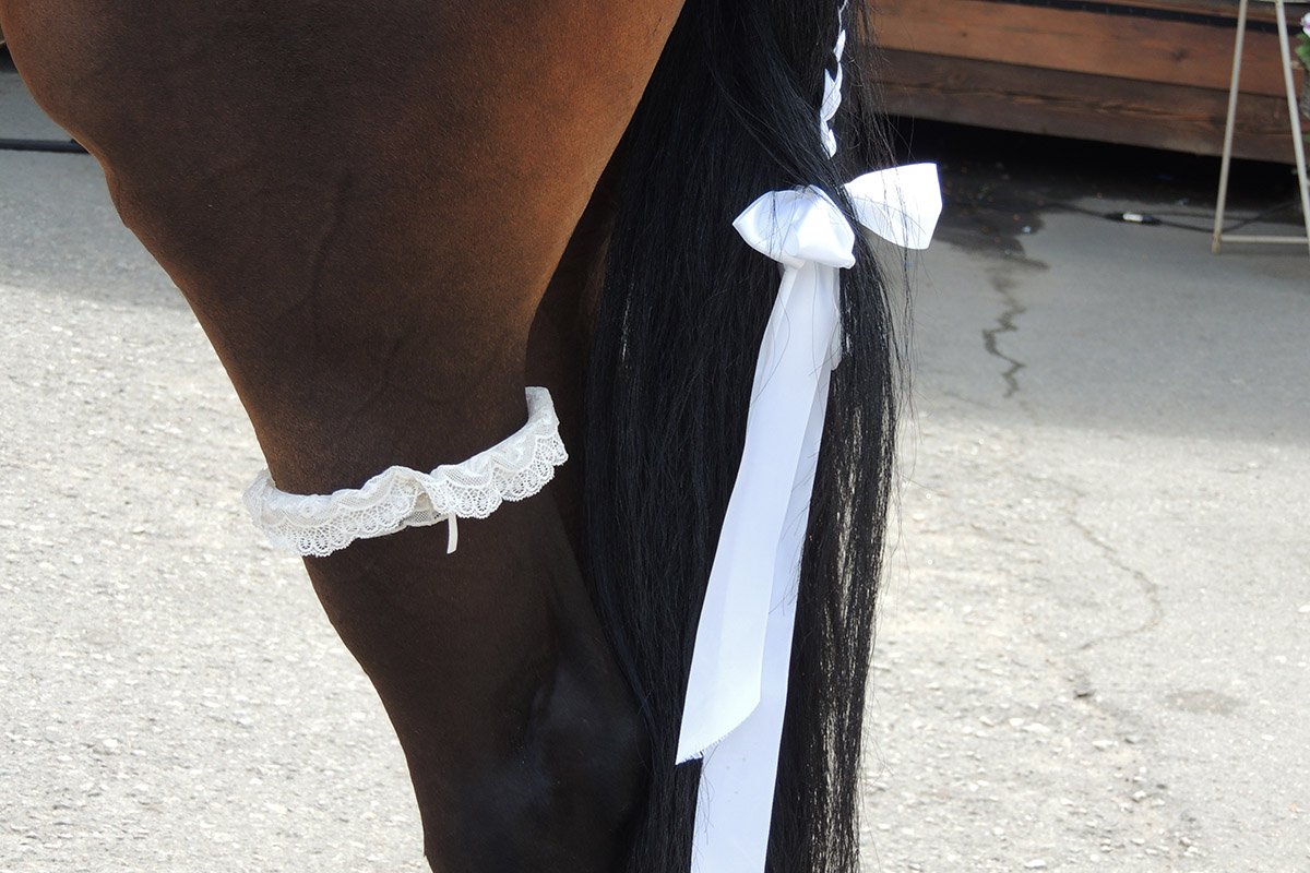 Фото: Арина Шевченко