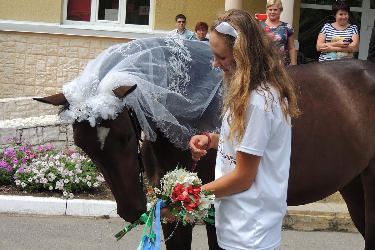Фото: Арина Шевченко