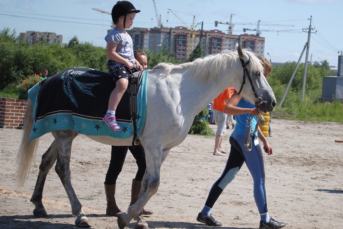 Фото: Архив АП