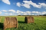 Корма для подсобных хозяйств Белогорского района заготовят спецбригады