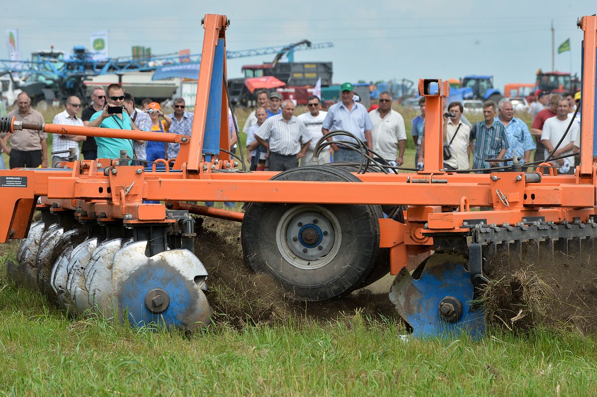 Фото: Андрей Оглезнев