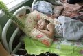 Фото: Архив АП