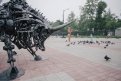 Фото: Сергей Лазовский