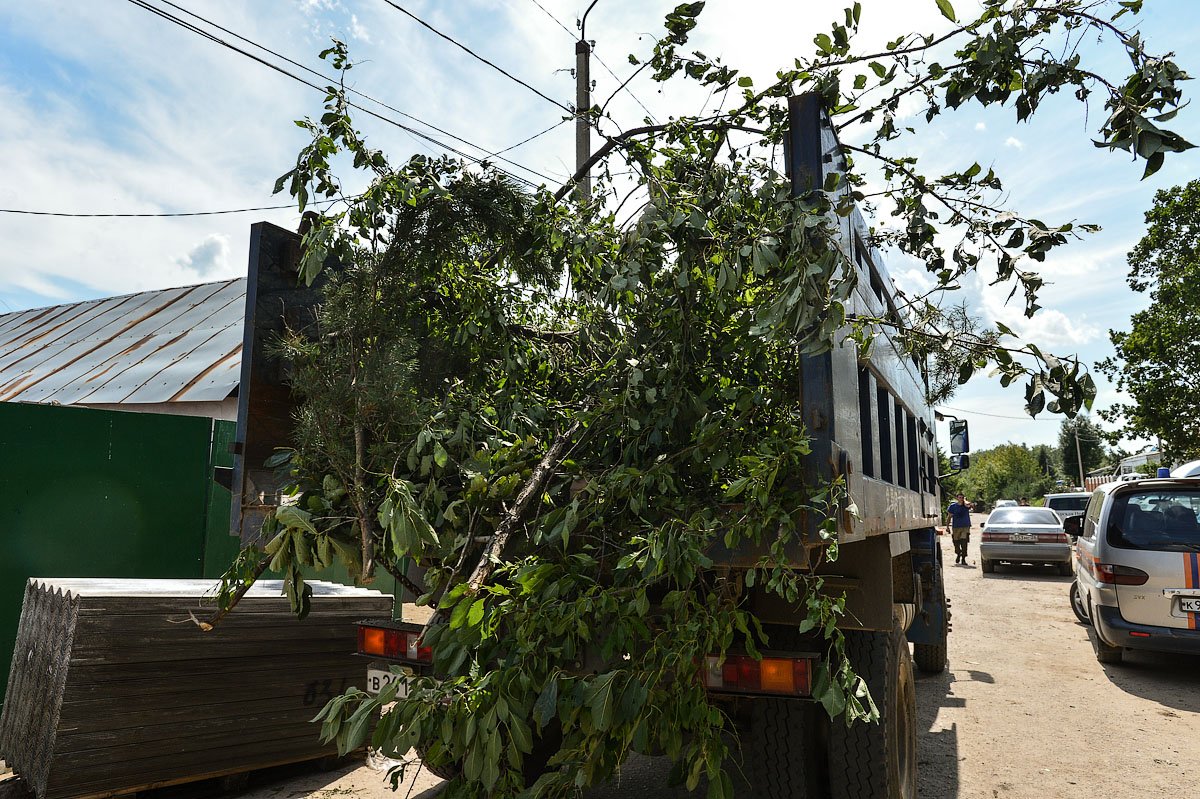 Фото: Андрей Оглезнев