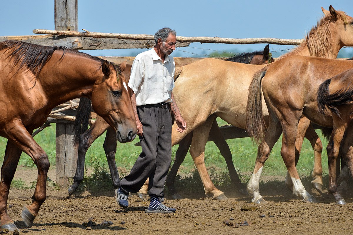 Алик Нуралиев не может видеть, как уничтожается дело всей жизни его сына.