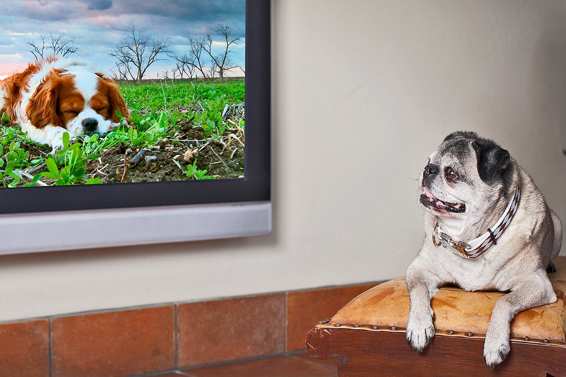 Фото: d.fastcompany.net