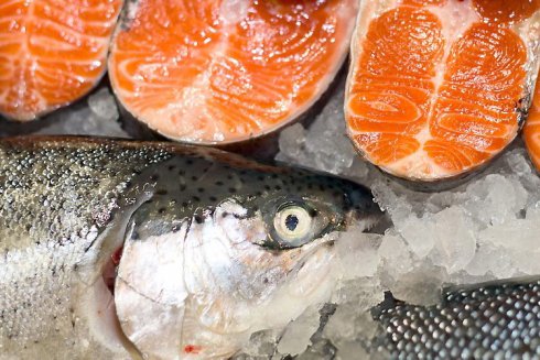 Фото: abcnyheter.no