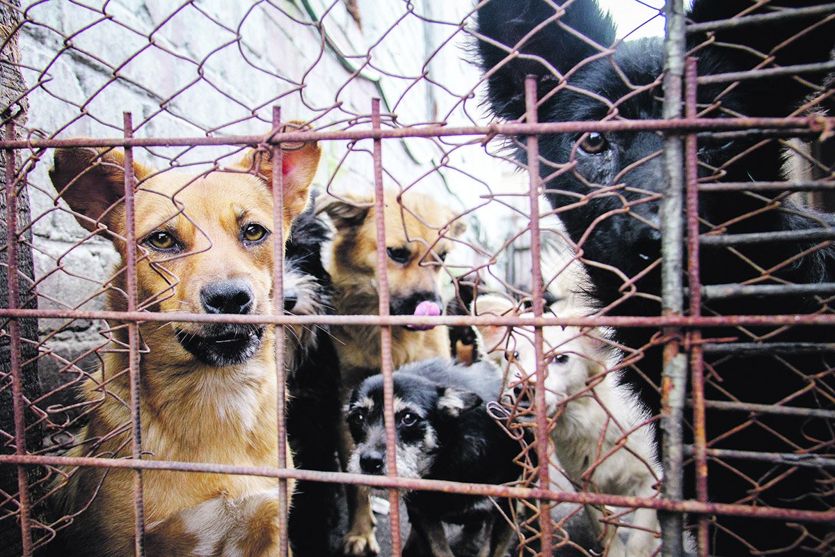 Фото: Сергей Лазовский