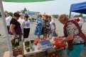 Амурские фермеры обеспечат овощами Якутию