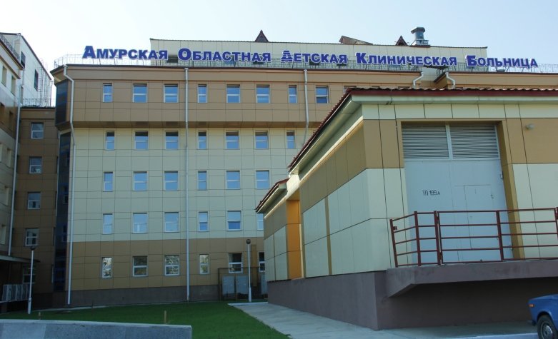 Фото: Пресс-служба правительства Амурской области