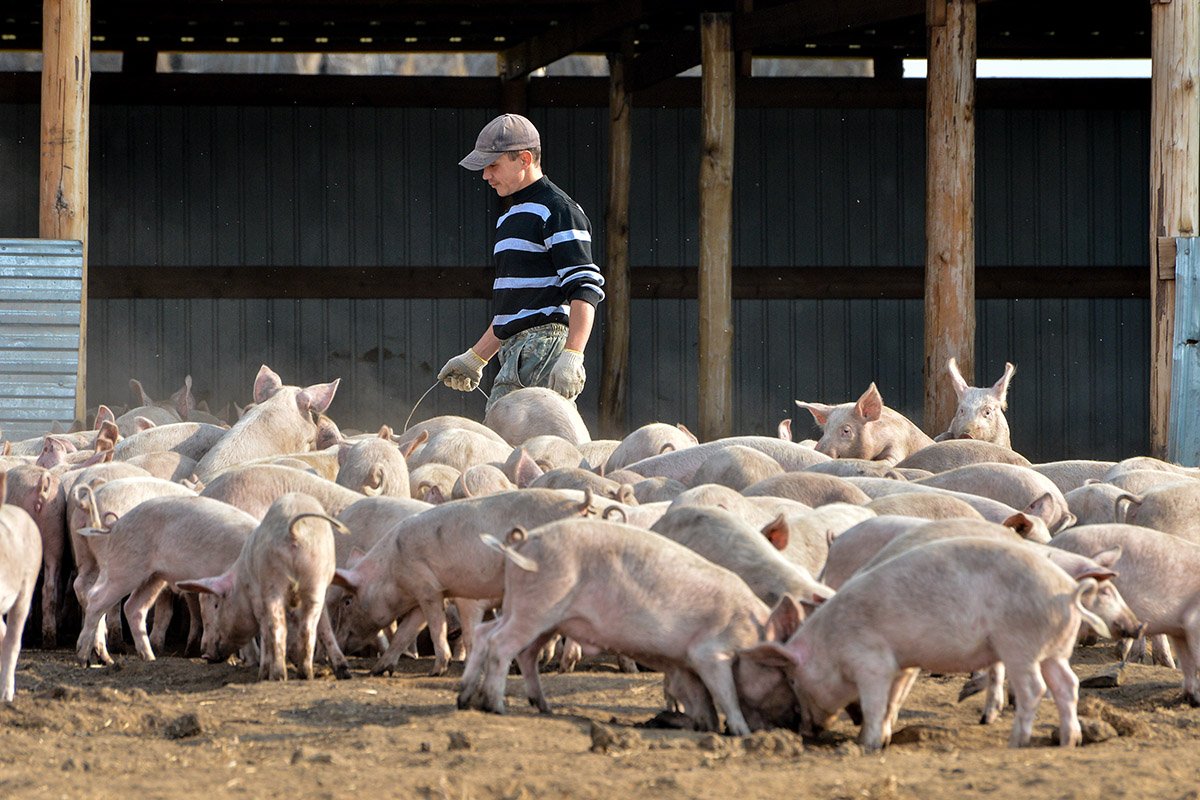 Фото: Андрей Оглезнев