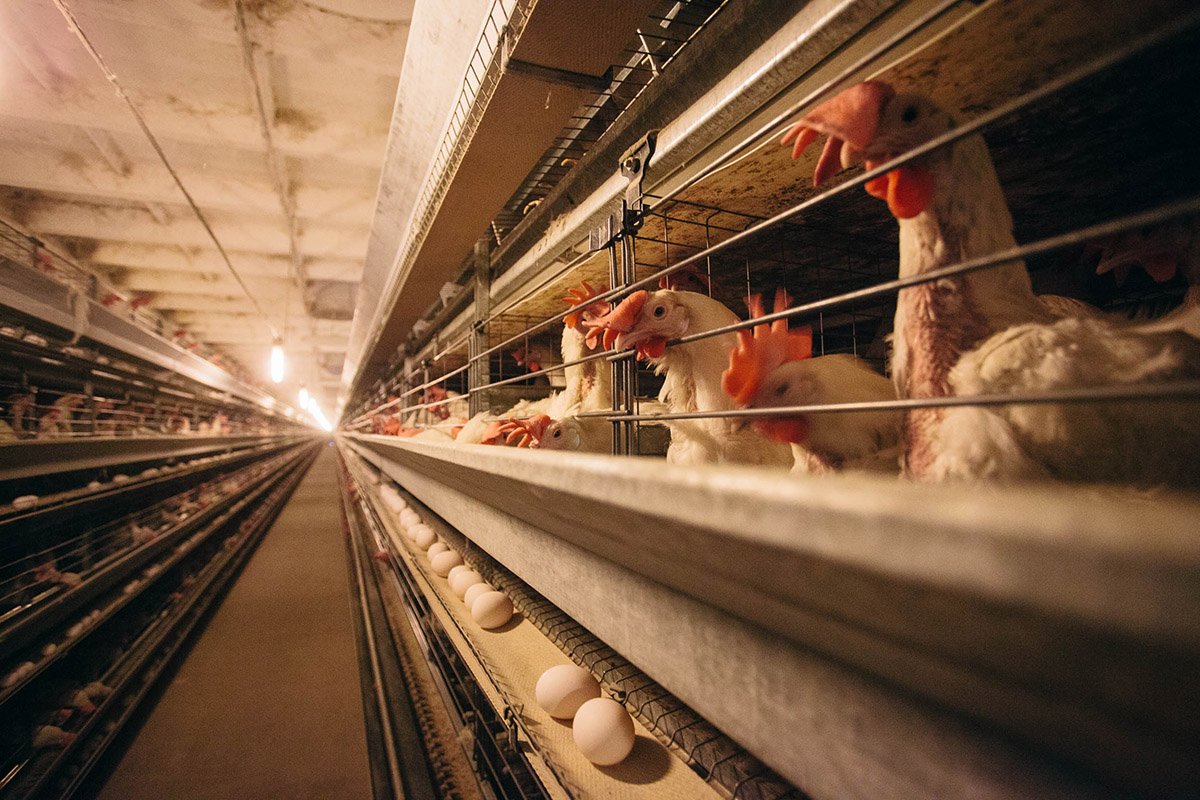 Фото: Архив АП