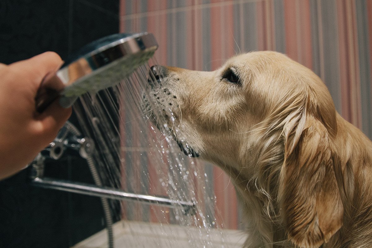 Жителей области призывают экономить воду и свет. Фото: Сергей Лазовский