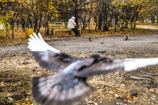 Кабы не было зимы слушать онлайн толкунова