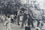 Прогулка на слоне в центре Хайдарабада, километровая башня в Японии — о чем писала АП 31 октября