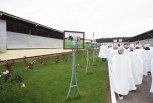 На белорусских фермах за коровами ухаживают роботы