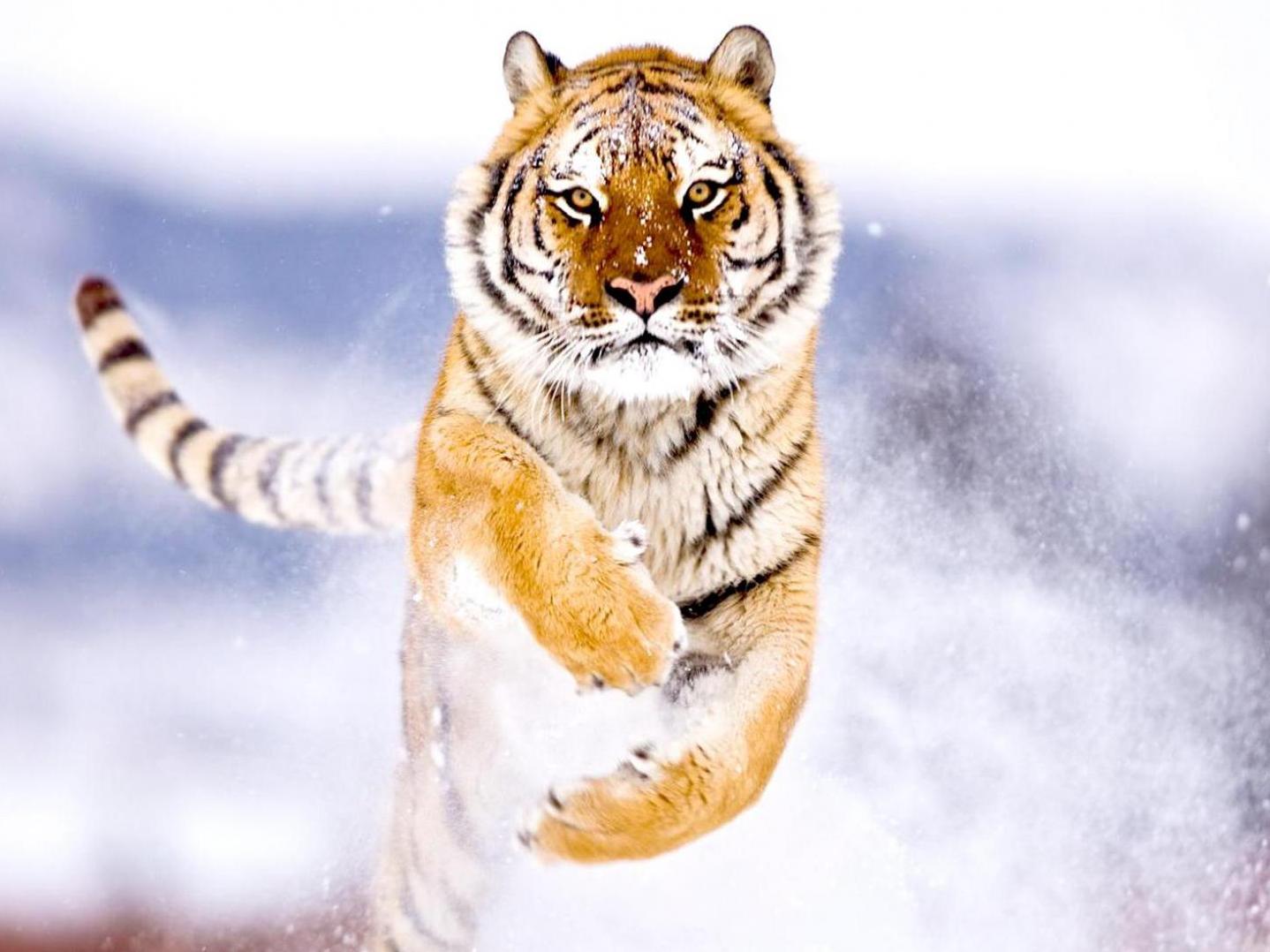 Фото: all-about-russia.ru